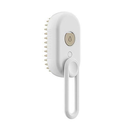 Plonique™ Steamy Spray Massage Brush