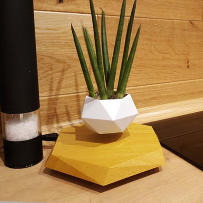 Plonique™ Levitating Magnetic Plant Pot